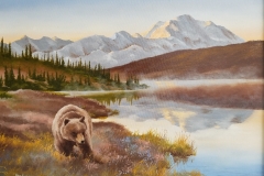 denali bear