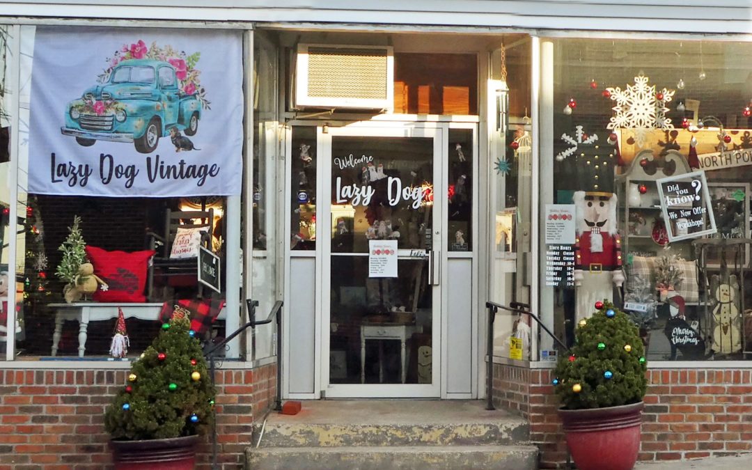 Lazy Dog Vintage Market Hamburg, PA